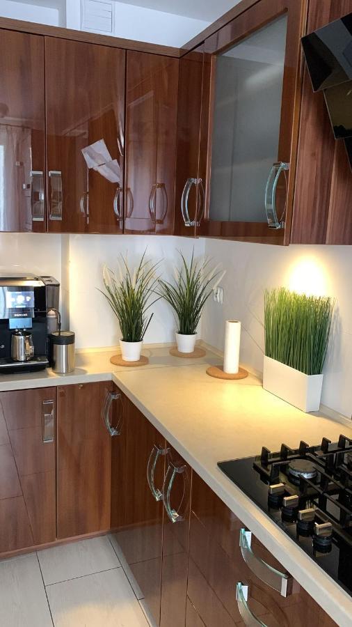 Golden Apartament Legionow Stary Toruń Extérieur photo